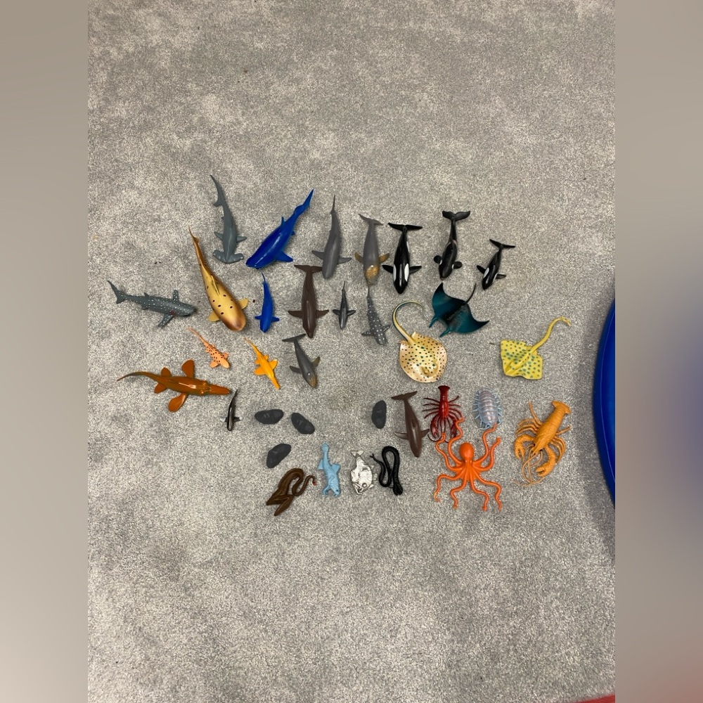 Set of marine life animals toys